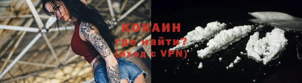 гидра Надым