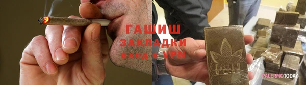 гидра Надым
