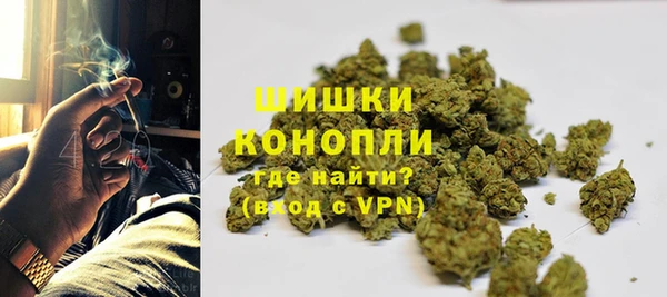 гидра Надым