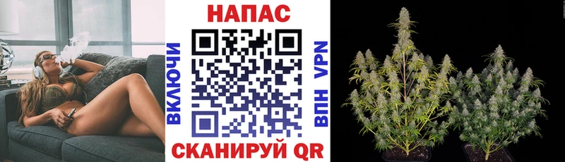 omg ссылки  Облучье  Шишки марихуана THC 21%  закладка 